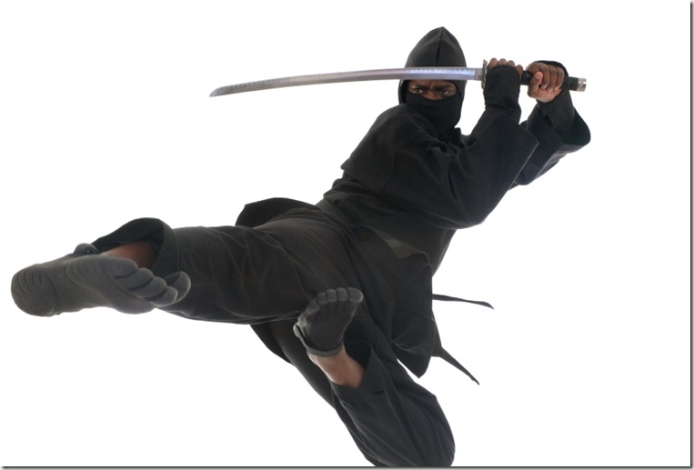 Flying Ninja